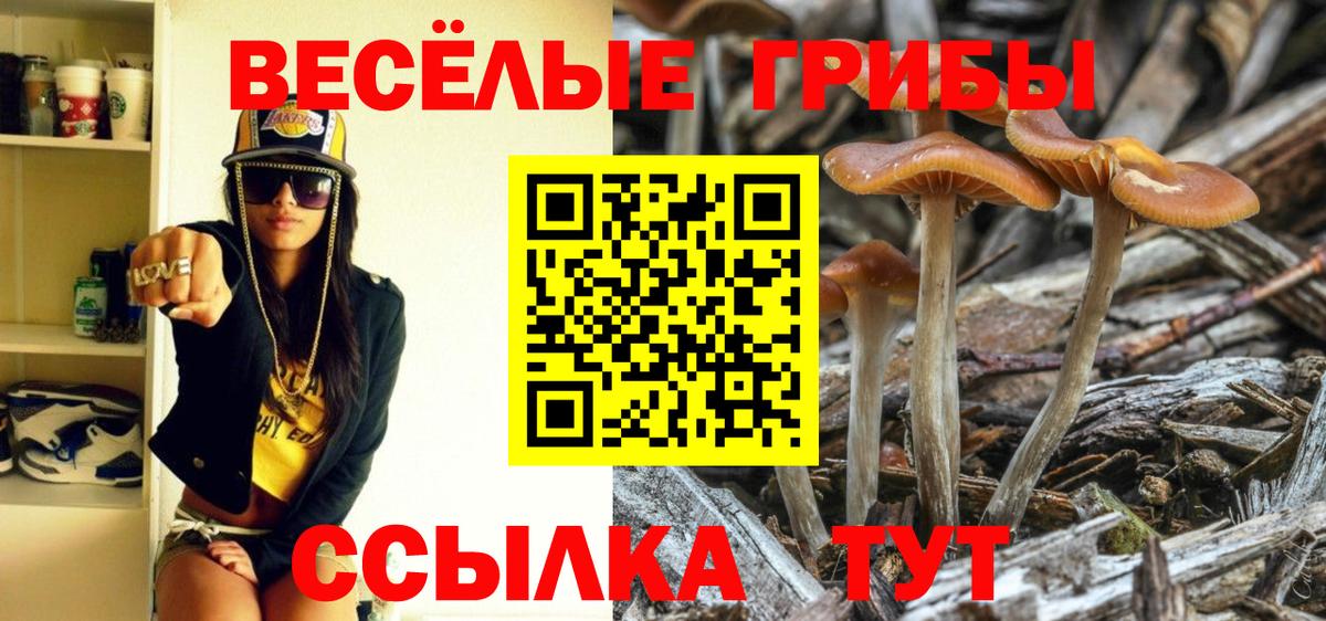 Галлюциногенные грибы мицелий  Анжеро-Судженск  Галлюциногенные грибы GOLDEN TEACHER 