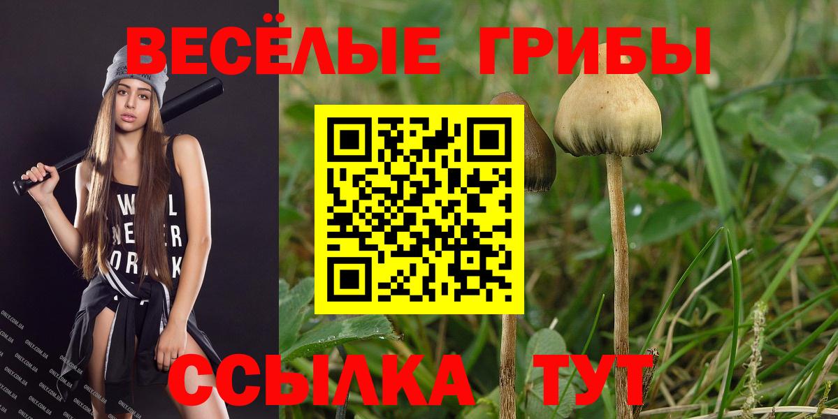 Псилоцибиновые грибы прущие грибы Анжеро-Судженск