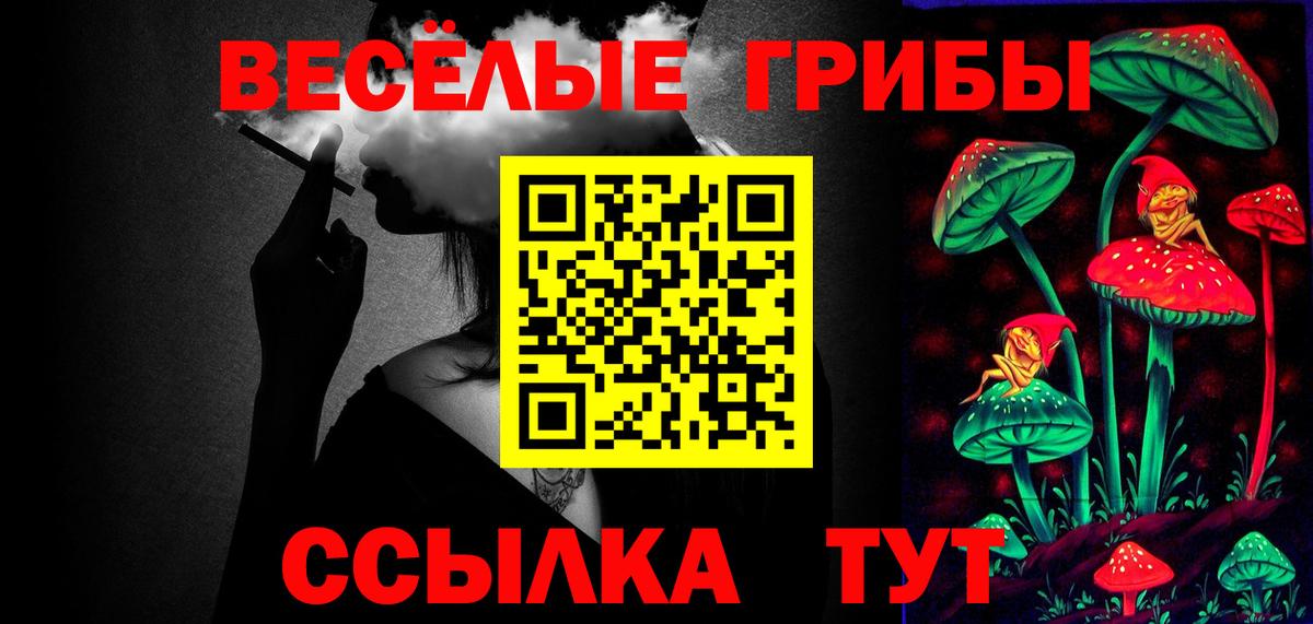 Галлюциногенные грибы GOLDEN TEACHER  Галлюциногенные грибы Cubensis  Анжеро-Судженск  Вход с VPN 