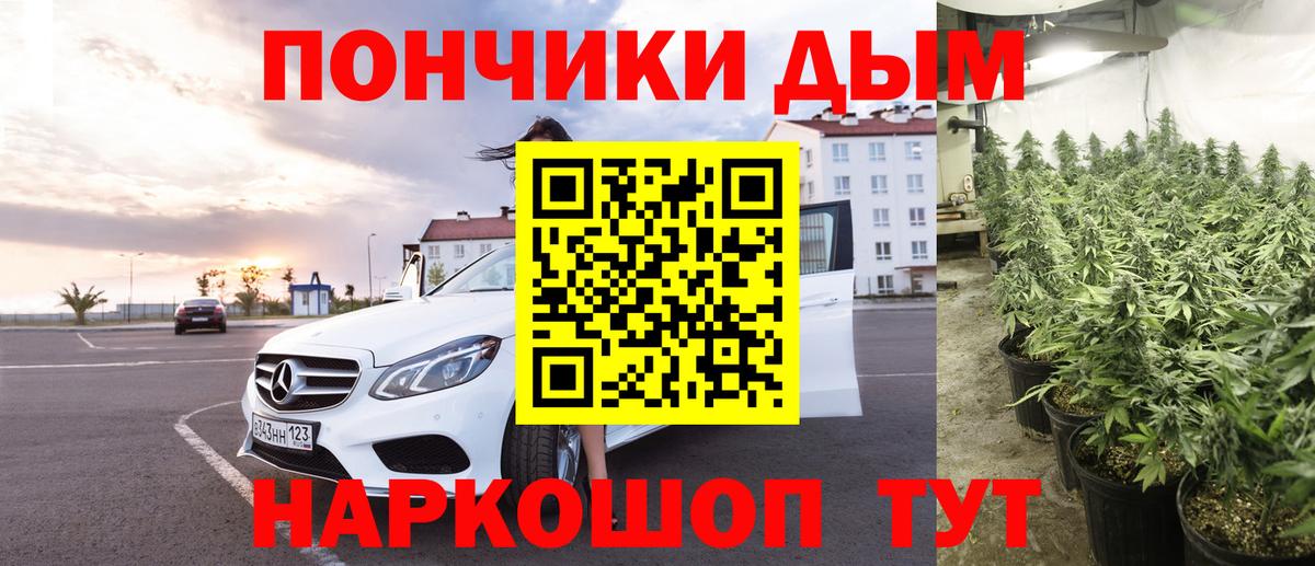 Бошки Шишки марихуана  Канабис сатива  Вход с VPN  Анжеро-Судженск  Каннабис OG Kush 